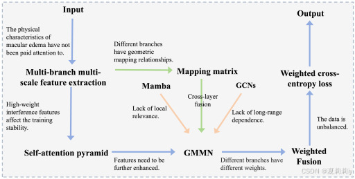 [INFFUS 2026]Graph mapping Mamba network for automated macular edema ...