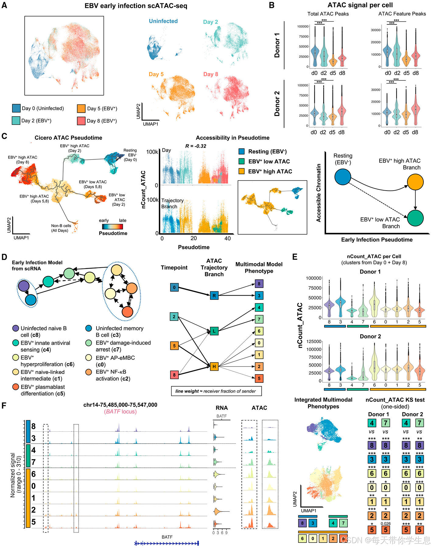 爱泼斯坦-巴尔病毒，谁懂？_epstelmn-barr virus-CSDN博客