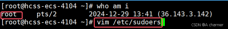 Linux 开发：sudo、gcc/g++ 与构建解析_sudo gcc是编译吗