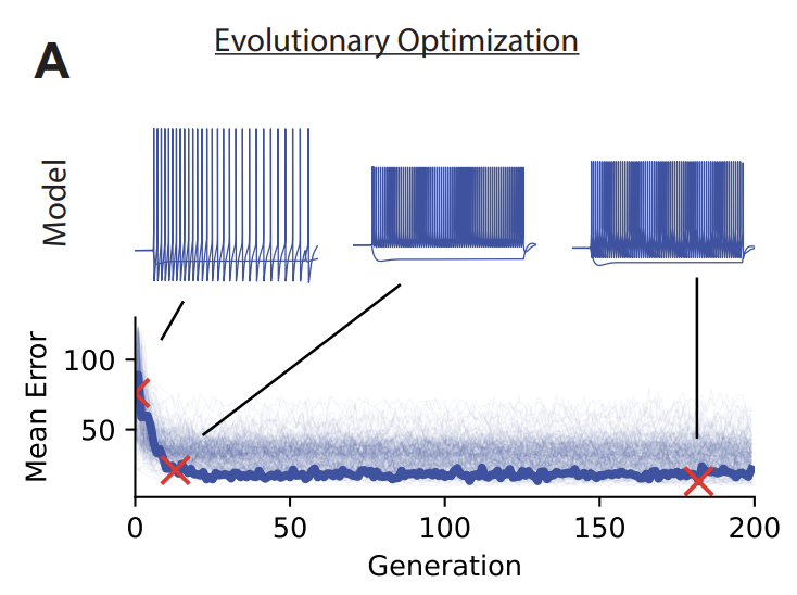 在这里插入图片描述 在这里插入图片描述