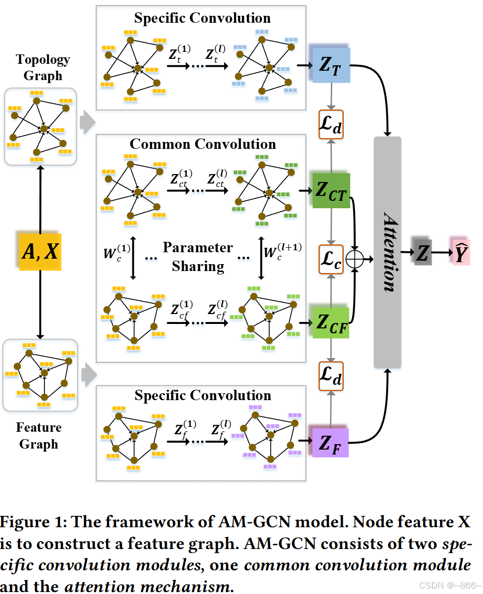 AM-GCN: Adaptive Multi-channel Graph Convolutional Networks （KDD‘ 22 ...