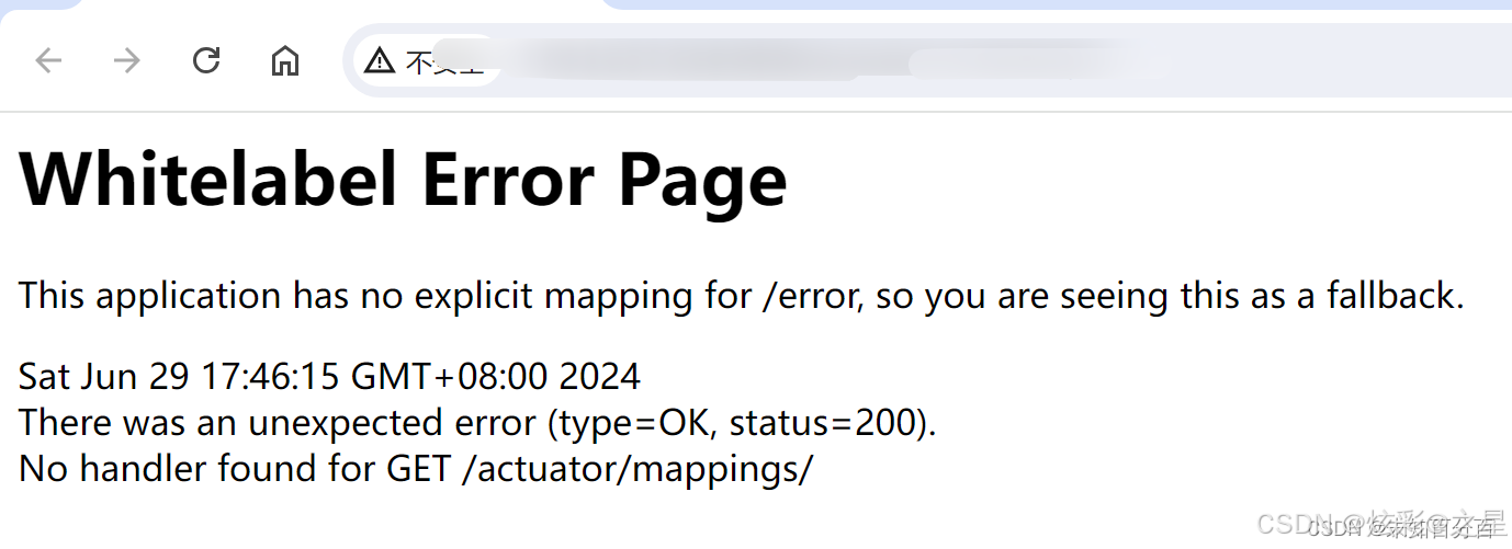 【漏洞利用】Webpack源码泄露（js.map泄露）&& Springboot信息泄露_webpack漏洞-CSDN博客