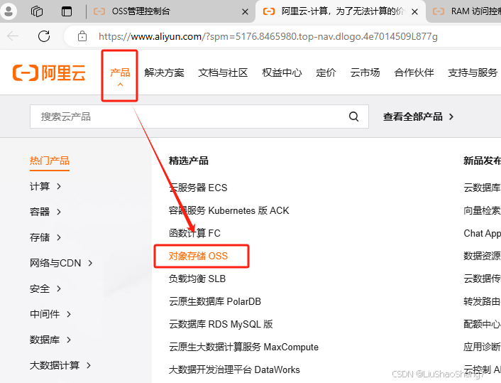 文件上传(本地和OSS)插图1 文件上传(本地和OSS)