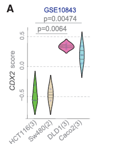 [[IMG_CDX2_CELL]]