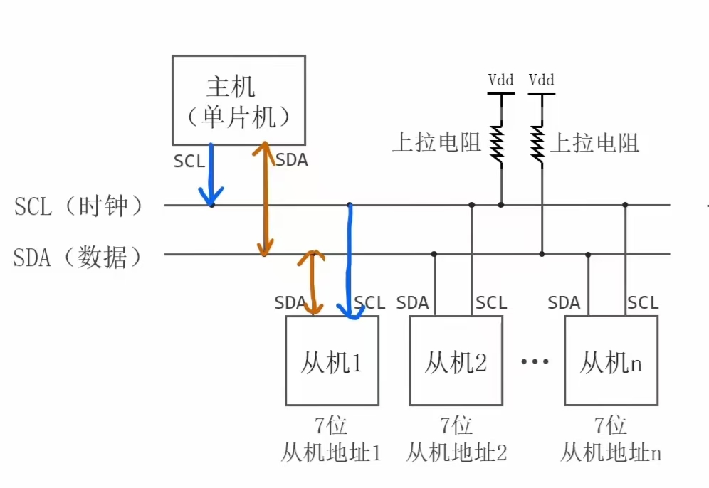 时钟线和数据线