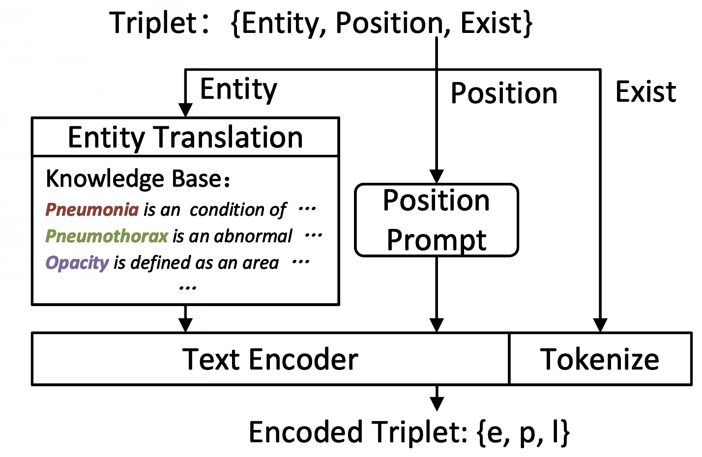 知识增强三元组编码模块