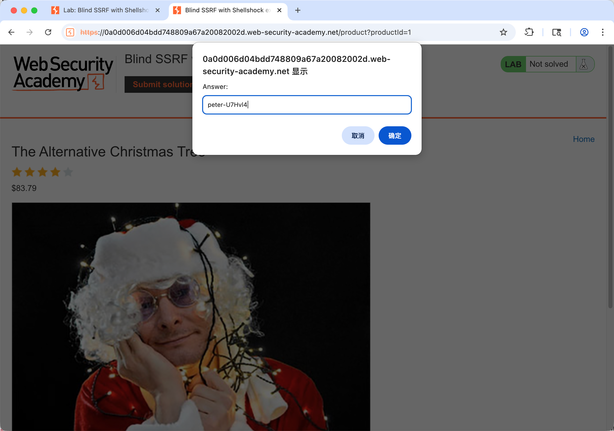 PortSwigger靶场之Blind SSRF with Shellshock exploitationEXPERTLAB通关秘籍-CSDN博客