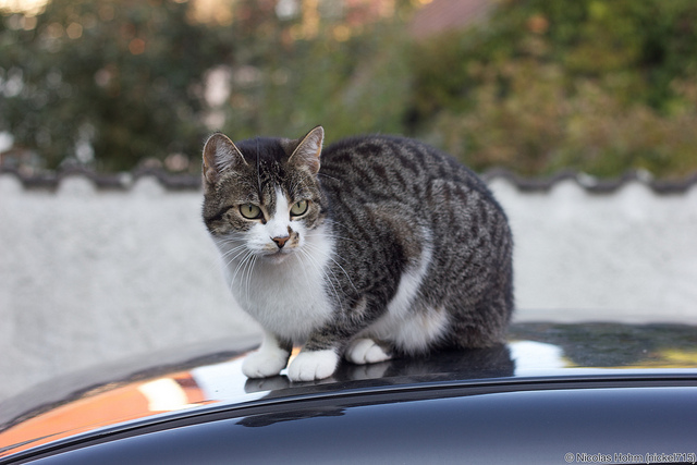 image-20231226195337179