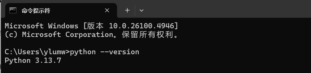 终端验证 Python 版本截图