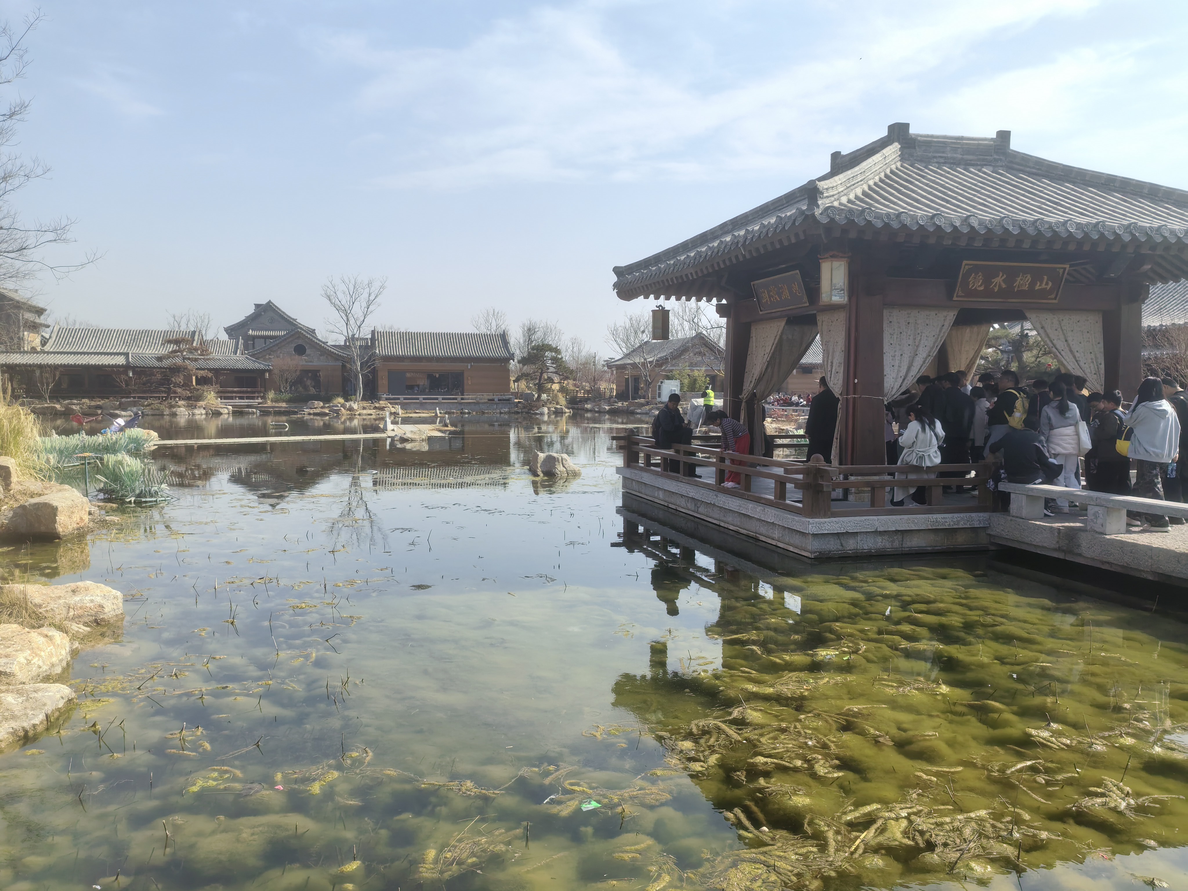 文章图片