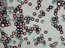 ps荧光微球粉末_ps微球粉末-CSDN博客