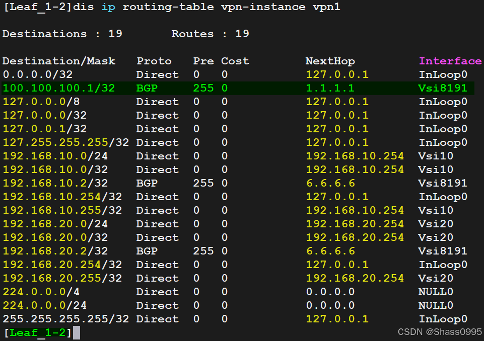 Leaf_1-2_ipv4_vpn-instance_vpn1_routes