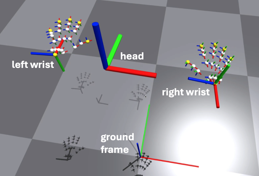 avp的参考坐标系