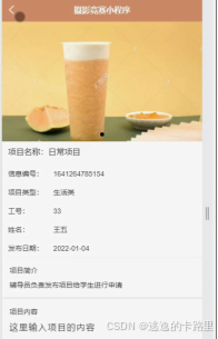 图5-3项目信息界面图