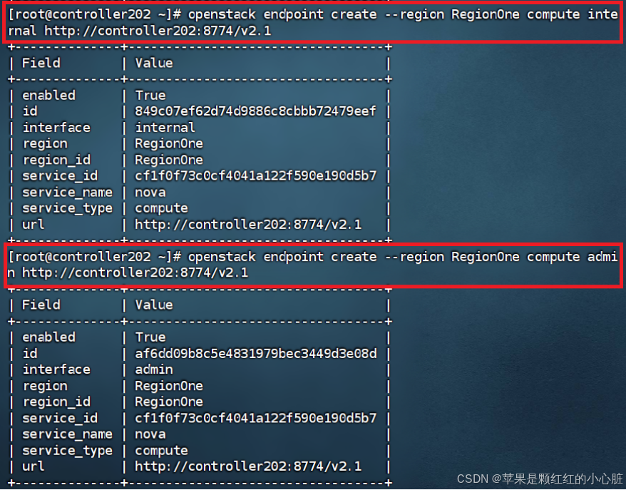 云计算实训（实验5、实验6）_nova api登录到host节点