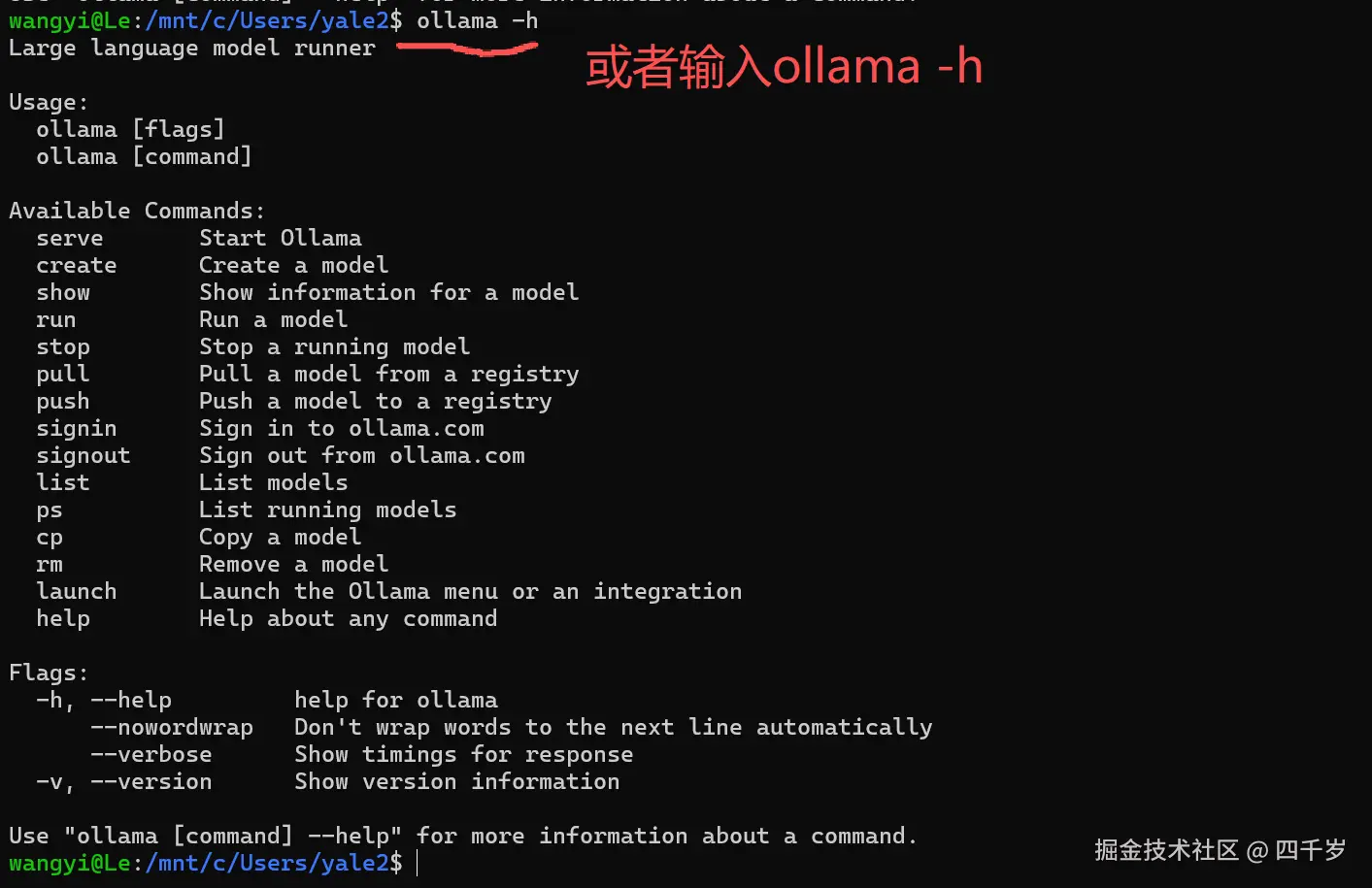 查看ollama自带的帮助文档