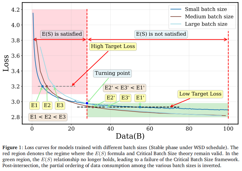图1. Loss 曲线的交叉现象。** 在 Stable 阶段，较大的 BS 并不总是像预期那样保持较高的数据效率。曲线交叉意味着在训练的某个阶段，小 BS 可能比大 BS 更具数据效率，这直接挑战了传统公式的单调性假设。