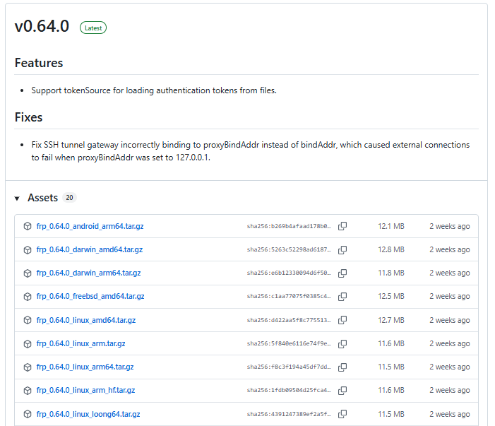 采用FRP开源工具实现Dify服务器Agent应用内网穿透_frp0.64.0