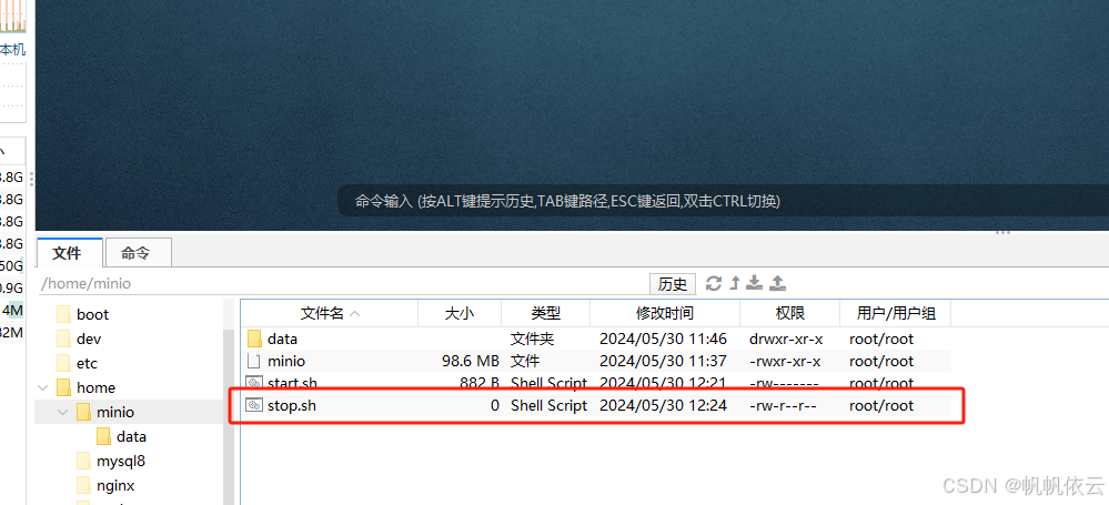 在这里插入图片描述