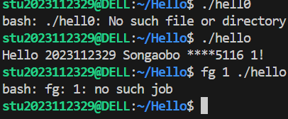 程序人生hello.c