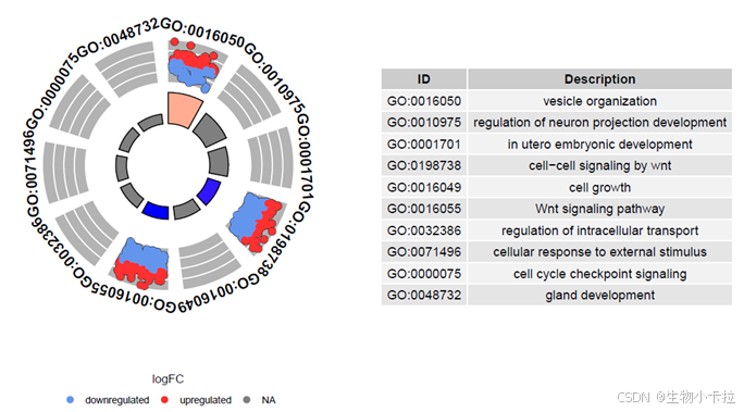 R-基因-富集圈图/和弦图-CSDN博客