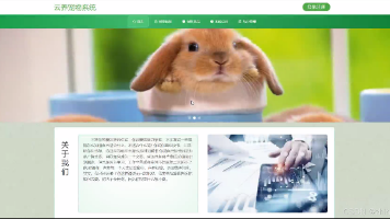 文章图片