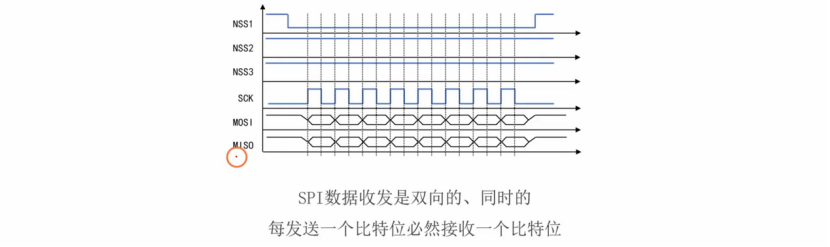【STM32】江科大STM32小白养成记