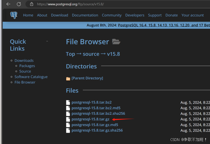 编译安装pgsql_pgsql插件编译-CSDN博客
