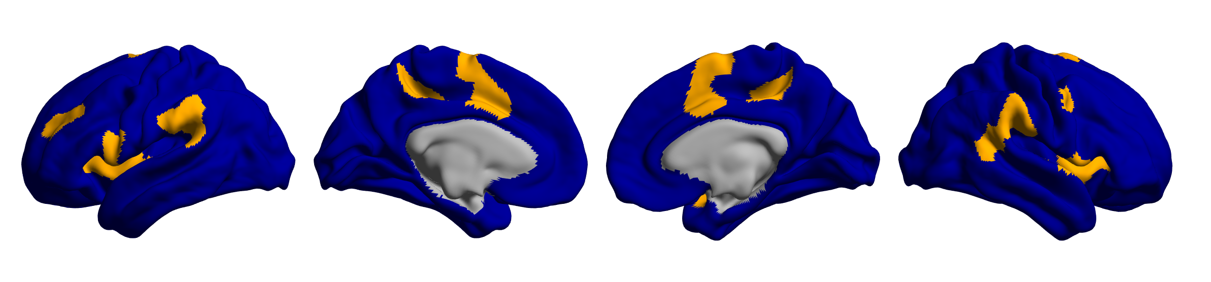 Yeo 7网络的作用简介与各功能网络具体位置_脑功能网络联结缩写-CSDN博客