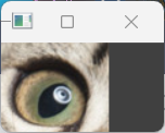 OpenCV！启动！(Python)（1）