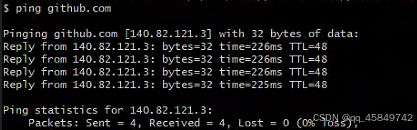 成功Ping github.com