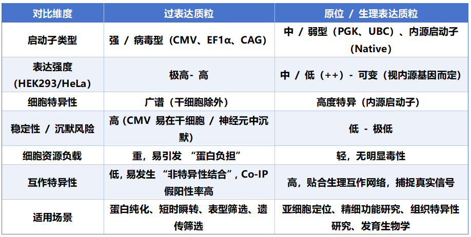 邻近标记PL-MS之质粒构建策略：过表达与原位表达的精准抉择及应用指南-CSDN博客