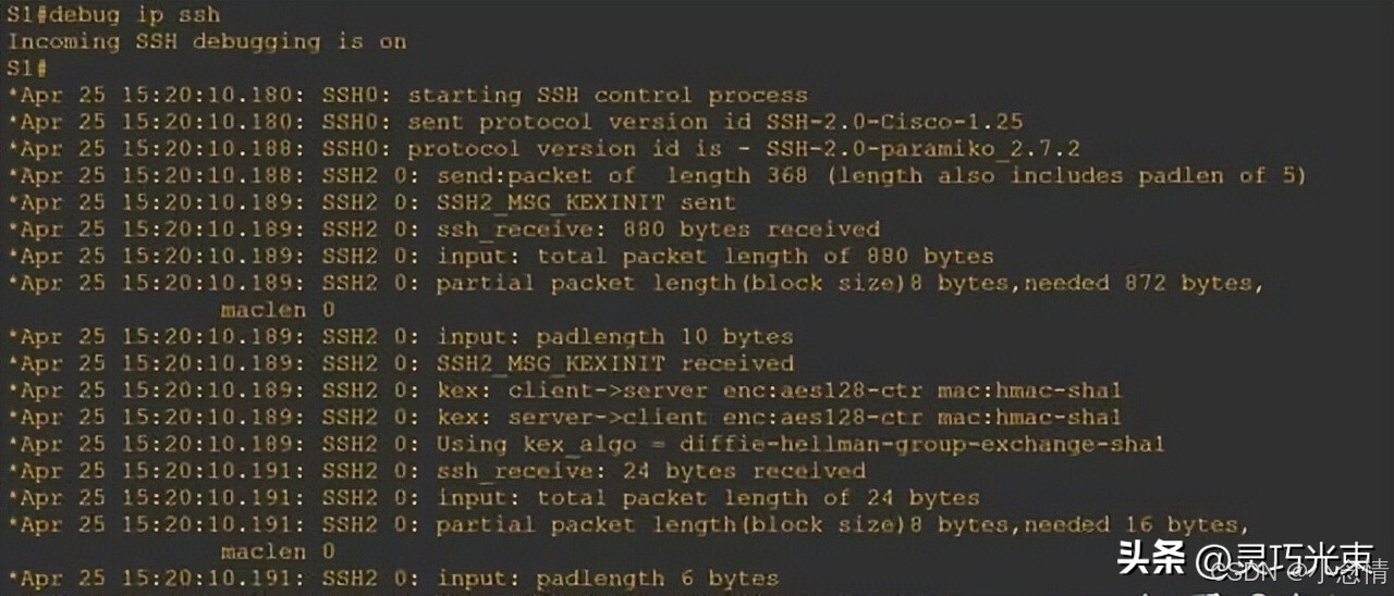 Python netmiko_批量管理设备SSH登录_Netmiko Python自动化网络配置
