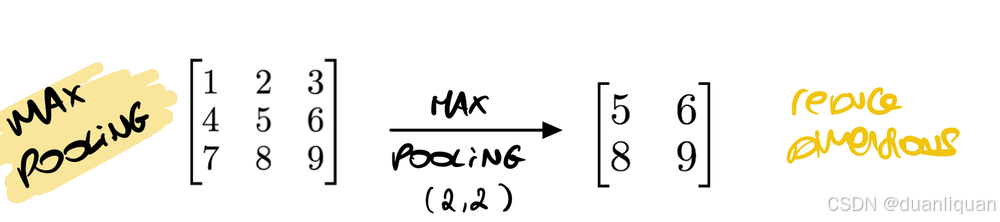 最大池化的工作原理