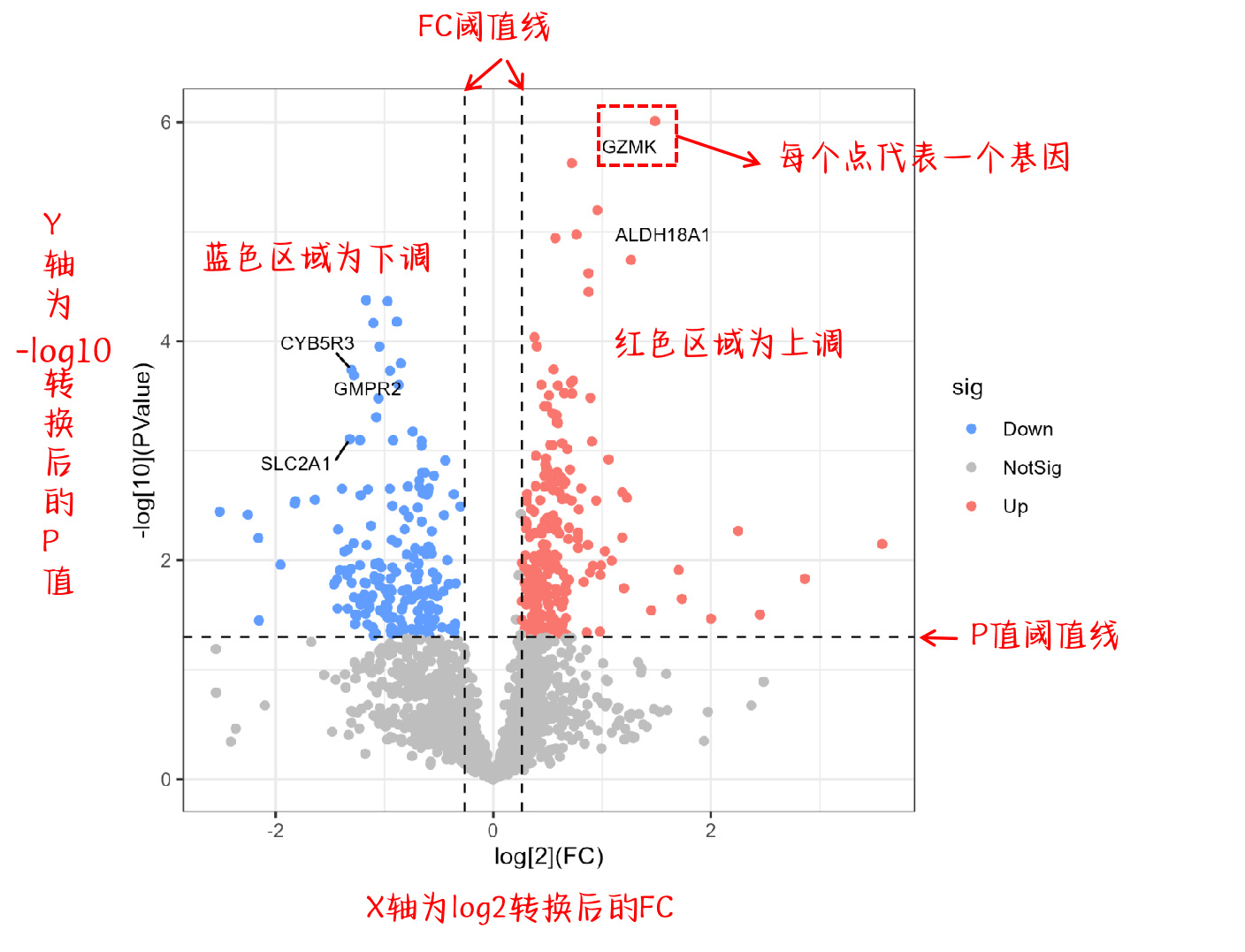 为什么P值不再是0.05（孟德尔随机化）_孟德尔随机化p值取多少-CSDN博客