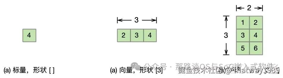 标量、向量与矩阵示例