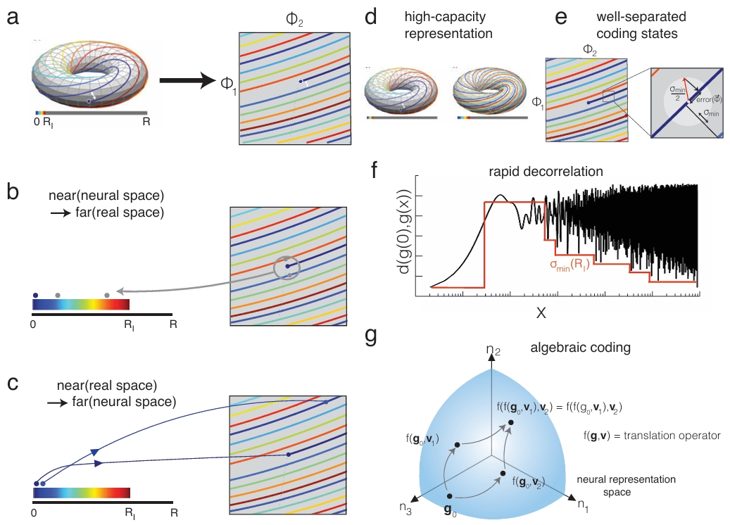 23-NeurIPS-Self-Supervised Learning of Representations for Space Generates Multi-Modular Grid Cells