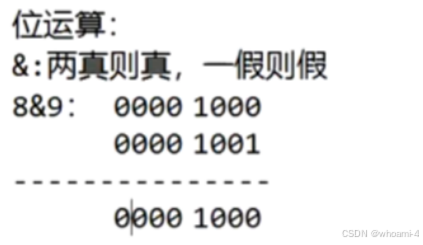位运算符_python 按位与 位运算符 到底是什么-CSDN博客