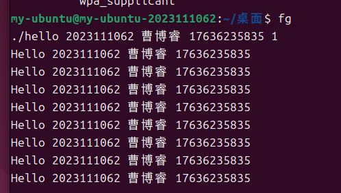 哈工大计统大作业 程序人生-Hello’s P2P