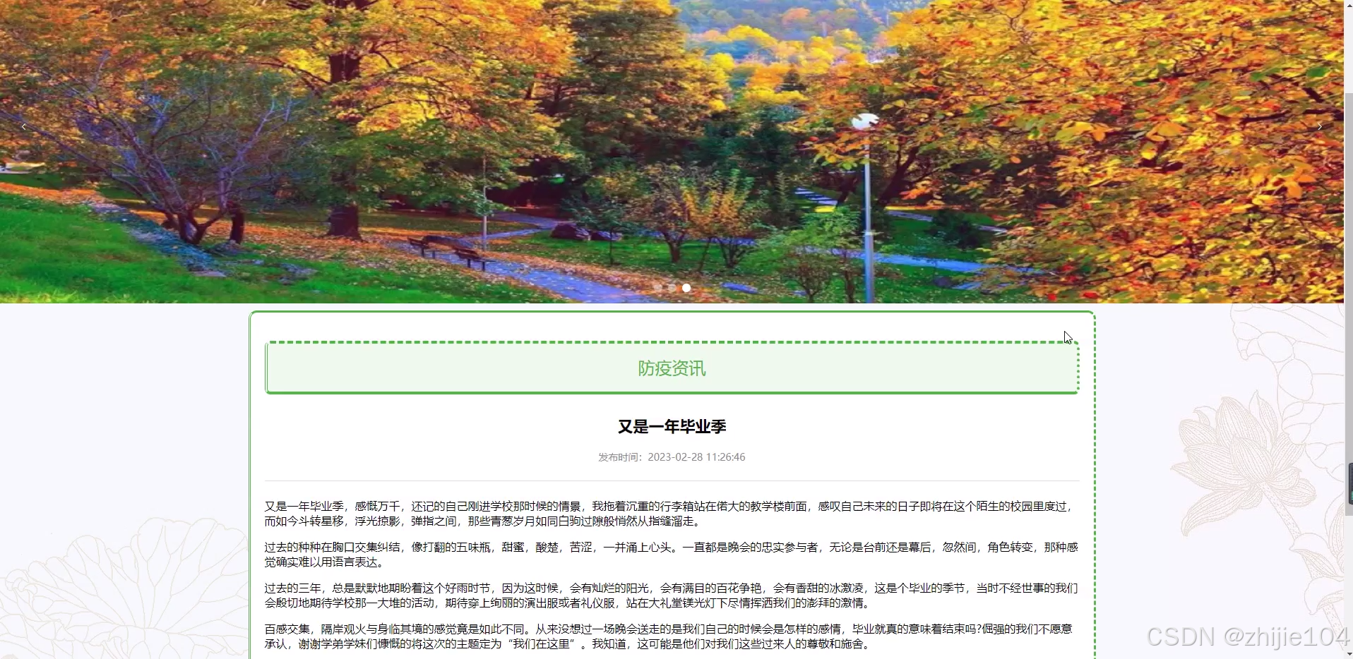 文章图片
