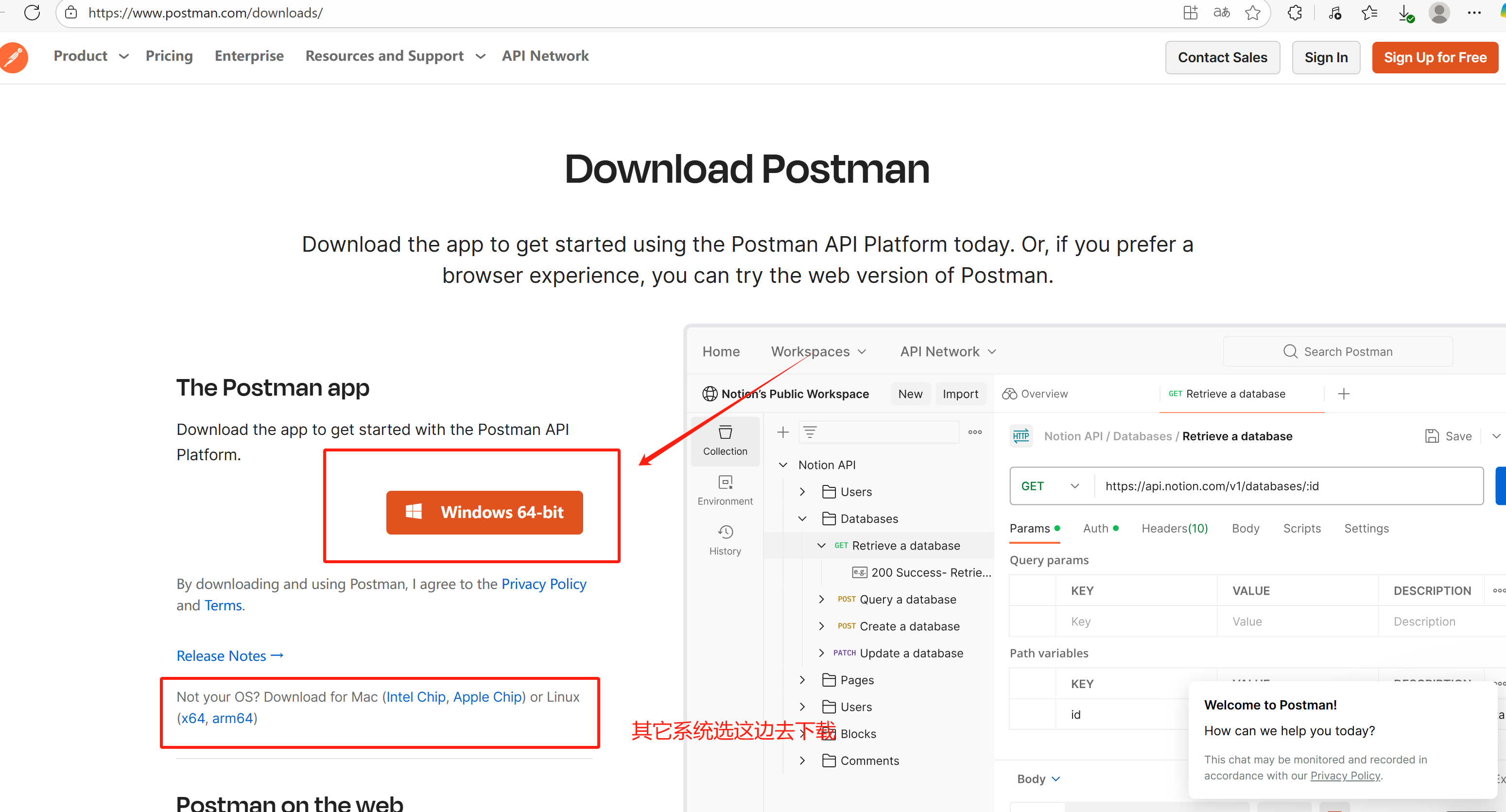 Postman 2025最新版安装及使用教程：从入门到精通_postman最新版使用教程
