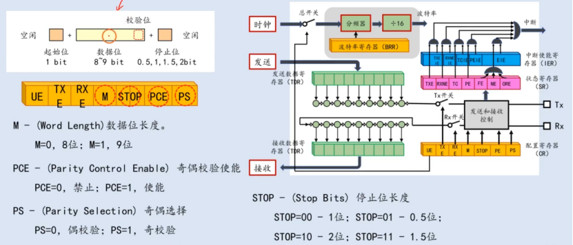 【STM32】江科大STM32小白养成记