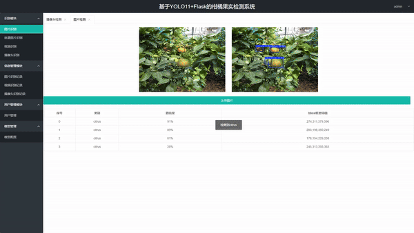 功能演示