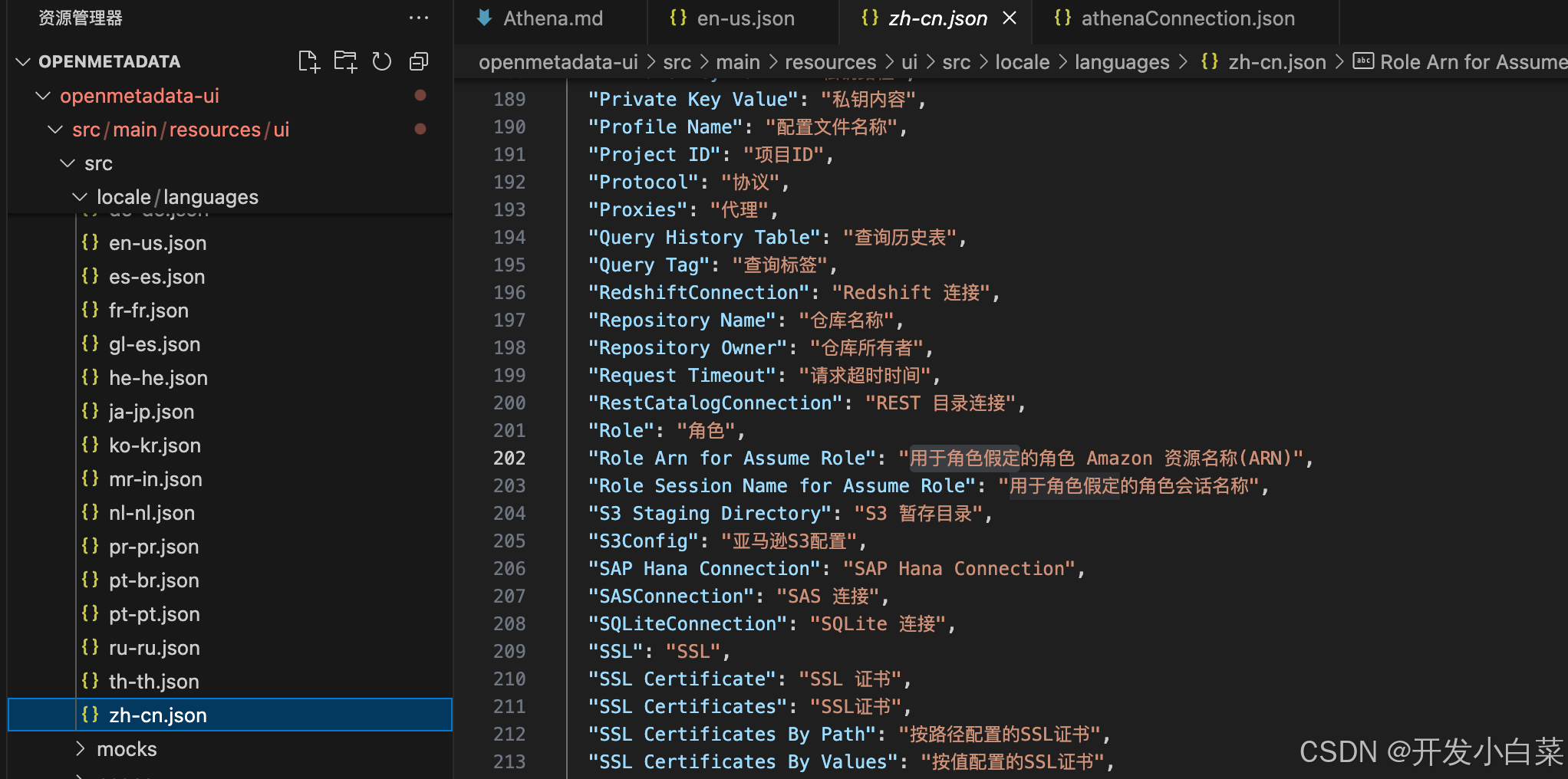 zh-cn.json