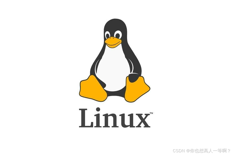 初识Linux_linux谁说了算-CSDN博客