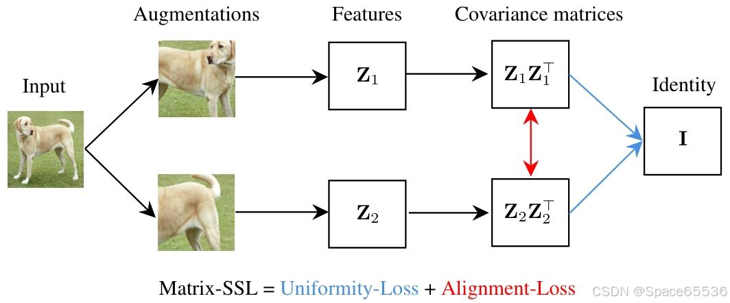 论文速读|Matrix-SSL：Matrix Information Theory for Self-Supervised Learning.ICML24