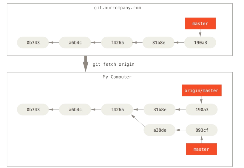 Git 完整教程：版本管理、分支操作与远程仓库解析