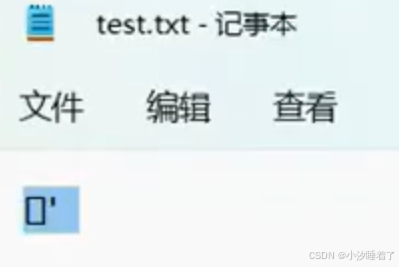 在这里插入图片描述