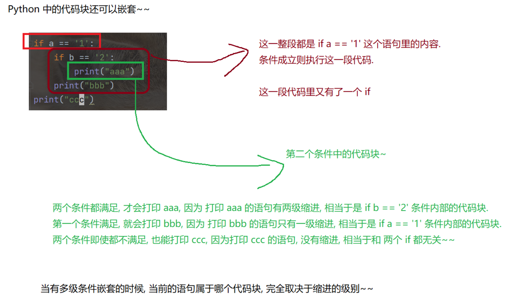 文章图片