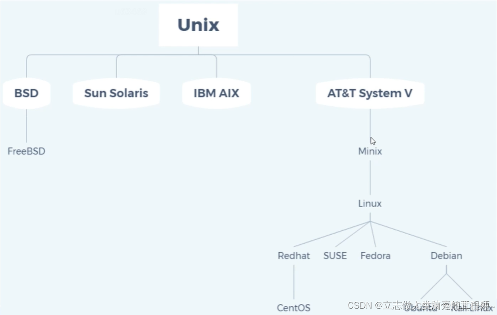 Linux系统结构_linux分支-CSDN博客